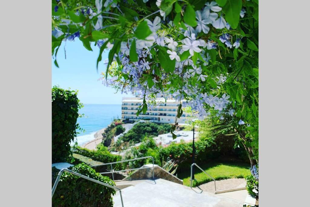 Amazing Frontline Sea Views Studio Apartment Castillo Del Vigia トレモリノス エクステリア 写真