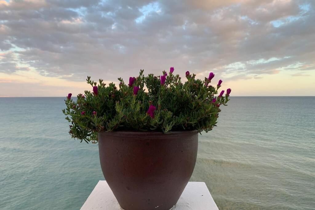Amazing Frontline Sea Views Studio Apartment Castillo Del Vigia トレモリノス エクステリア 写真