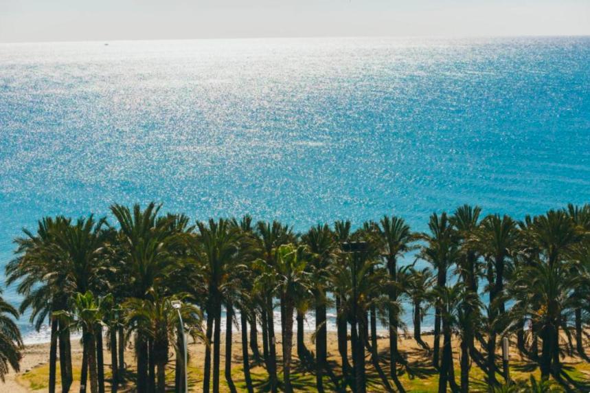 Amazing Frontline Sea Views Studio Apartment Castillo Del Vigia トレモリノス エクステリア 写真